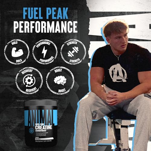 Animal Creatine Monohydrate Powder – Micronized Creatine for Women and Men, Supports Muscle Growth, Strength, Endurance, Recovery and ATP Production, Gym & Workout Supplements - Unflavored, 300g - Image 4