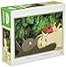 AM 300-201 on the stomach of My Neighbor Totoro My Neighbor Totoro 300 Piece (japan import)