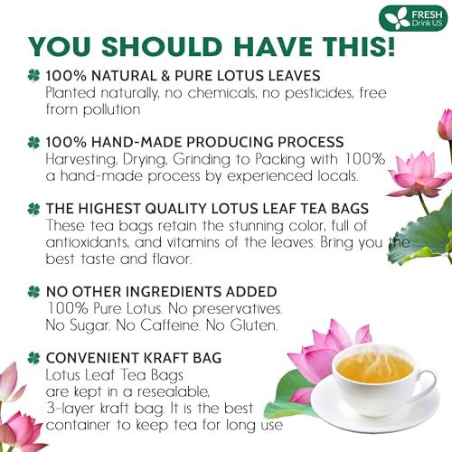 Image of FreshDrinkUS, Premium 75 Lotus Leaf Tea Bags, 100% Natural & Pure from Lotus Leaves. Loose Leaf Lotus Herbal Tea. Made with Eco-Conscious Tea Bags. No Sugar, No Caffeine, No Gluten, Vegan.