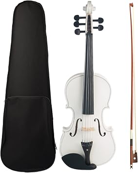 TSTS 5 Strings Acoustic Violin 5 String Violin 4/4 Full Size Violin with Case Bow Student Violin/Fiddle Set Adults Violins