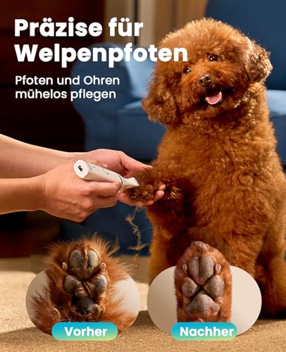 oneisall Pfotentrimmer für hunde mit Doppelklingen, 2-Gang schermaschine hund pfoten Leise hundeschermaschine für Pfoten, Augen, Ohren, Gesicht, Körper (weiß)