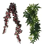 Ideal für Eidechse, Frösche, Geckos, Schildkröten, Schlangen und vieles mehr.