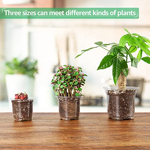 Bluepro 36 Packs 5/4/3.5 Inch Reinforced Clear Nursery Pots With Drainage Hole thumb #5