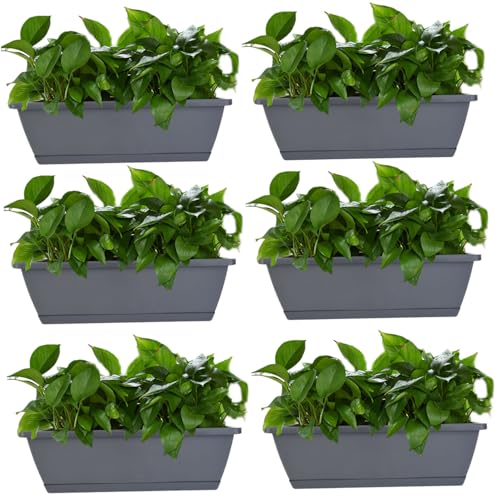 Flower vegetable plantador con base para evitar manchas de agua al regar 5