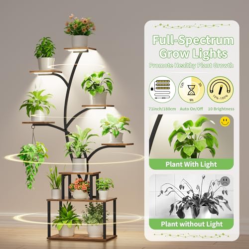 Image of Plant Stand Indoor with Grow Lights - Large Plant Shelf Indoor, 63 inch 8 Tier Tall Plant Stands for Multiple Plants, 2 Pack Lighted Corner Flower Shelf, Tree-Shaped Metal Holder for Living Room, Black