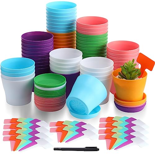 Tanlade 60 macetas de plástico de 4 pulgadas, macetas coloridas con platillos, bonitas macetas para guardería, macetas decorativas de jardinería con 60 etiquetas y bolígrafo para jardinería suculentas
