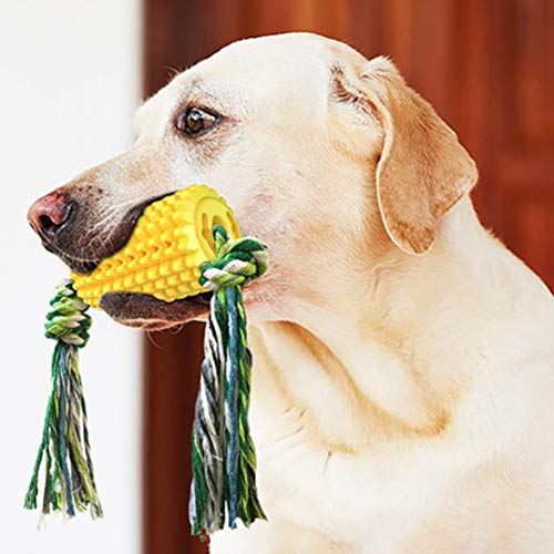 POPETPOP bastão molar para cachorro com contas de massagem brinquedo para mastigar animais de estima