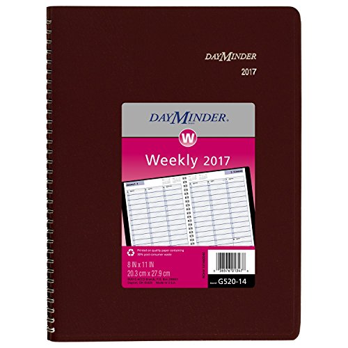 DayMinder Weekly Appointment Book / Planner 2017, 8 x 11
