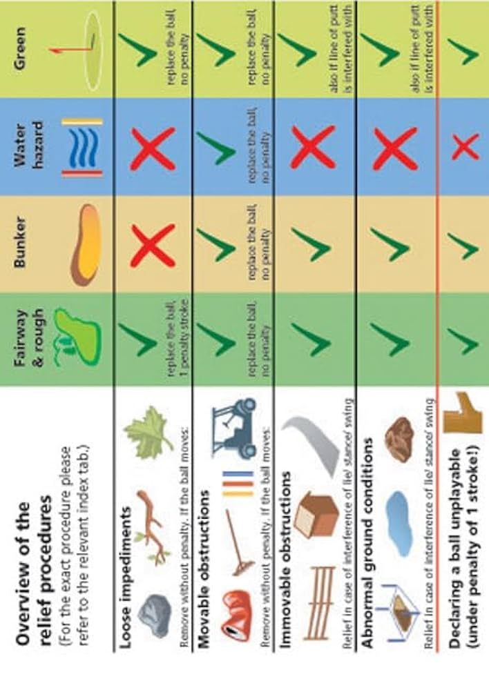 洋書 SOME OF THE RULES OF GOLF SOME OF THE RULES OF GOLF / NAZOA BOOKS / 古本、中古本、古
