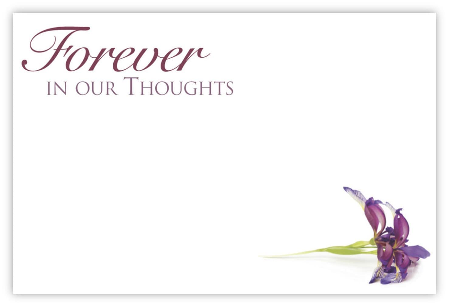 celloexpressForever in Our Thoughts (Purple Lily) Flower Message Cards - 60mm x 90mm - Bereavement Florist Card Sympathy Condolences Notes (Pack of 10)