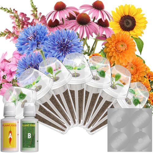 LYKOCLEAN Flower Seed Pods for Ahopegarden, iDOO MUFGA Hydroponics Growing System Indoor Gardening, 400+ Seeds, Dwarf Sunflower Bambino, French Marigold, Dahlia, Dwarf Petunia(7-Pods)