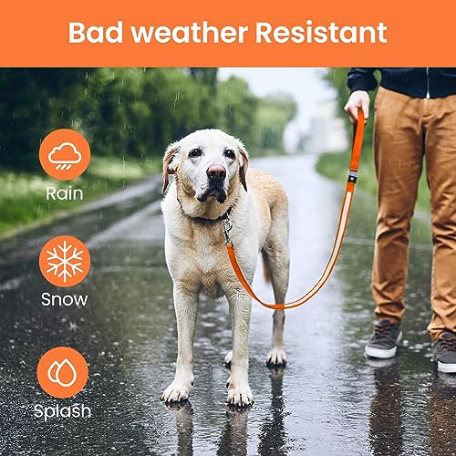 LED Hundeleine, Leuchtend Hundeleine für Kleine, Mittel Große Hunde, Wiederaufladbar & Wasserdicht, 3 Beleuchtungsmodi 5 Farben Erhältlich, Glühen im Dunkeln für Sicherheit Nachtwandern (Orange)
