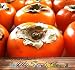 Japanese Persimmon (5 Seeds) Asian Persimmons (Diospyros Kaki-fuyu) Tree Shrub