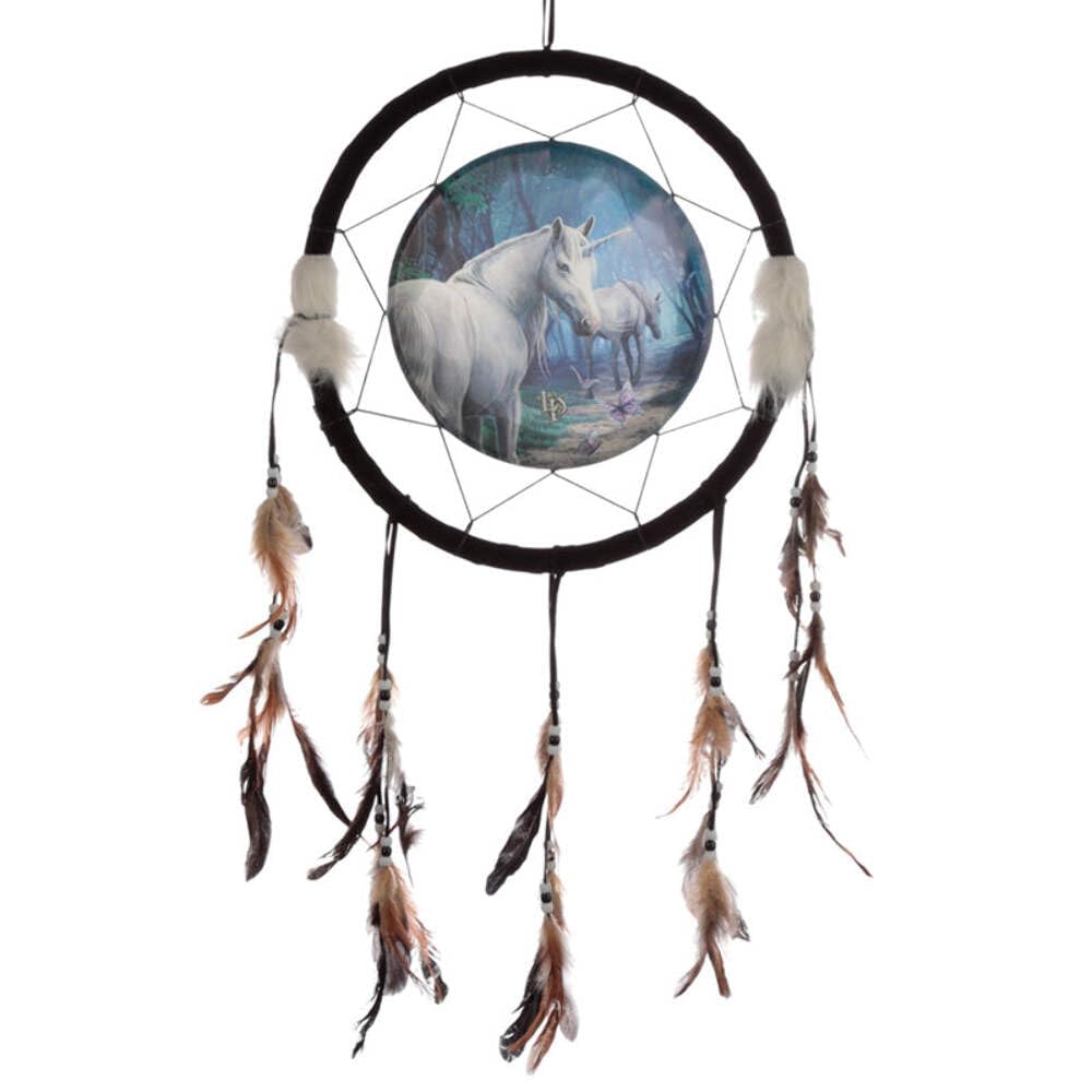 Puckator Multicolor Dcpb02h Lisa Parker The Journey Home Unicorn Dreamcatcher 33Cm