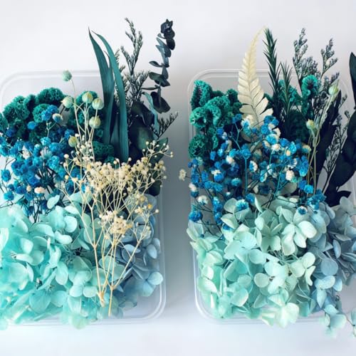 Flores Secas para Manualidades Didder DIY miniatura 1