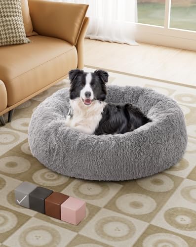 Calming-Donut-Bed-for-Dogs-and-Cats-Ultra-Soft-Circle-Bed-Cozy-Waterproof-Zipper-Cover-30-in-Bed-Medium-Dog-Bed-Light-Gray - Cucciolini Doodles   Calming-Donut-Bed-for-Dogs-and-Cats-Ultra-Soft-Circle-Bed-Cozy-Waterproof-Zipper-Cover-30-in-Bed-Medium-Dog-Bed-Light-Gray