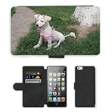 Grand Phone Cases