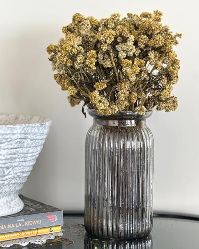 Image of Himalayan Daisy Dried Flowers | Natural Dried Blooms| 70 Grams | Naturally Preserved, Delicate & Everlasting | Perfect for Home Decor, Floral Arrangements, Bouquets & DIY Crafts(Yellow)