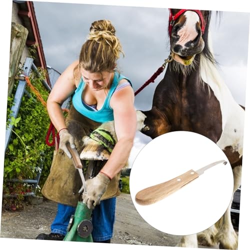 Parliky-2pcs-Hoof-Trimmer-Hoof-for-Cows-Farrier-Tools-Sheimp-Mini-Rasp-Hoof-Goat-Trimmer-Horse-Foot-Hoof-Pick-Sheep-Cattle-Hoof-Trim-Stainless-Steel-Agricultural-Supplies-Cutting