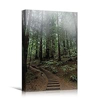 Canvas Wall Art Green Forest Dramatic Forest Landscape Living Room Multicolor Photography Rustic - 12x18 inches