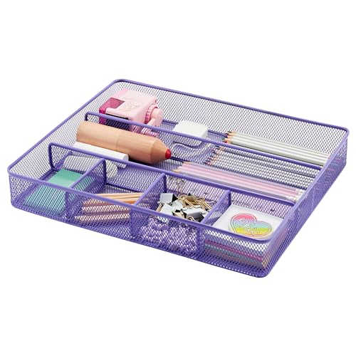 Annova Desk Drawer Organizer/Storage Tray, Metal Mesh with Dividers for Pens Desktop Accessories, Bathroom, Kitchen