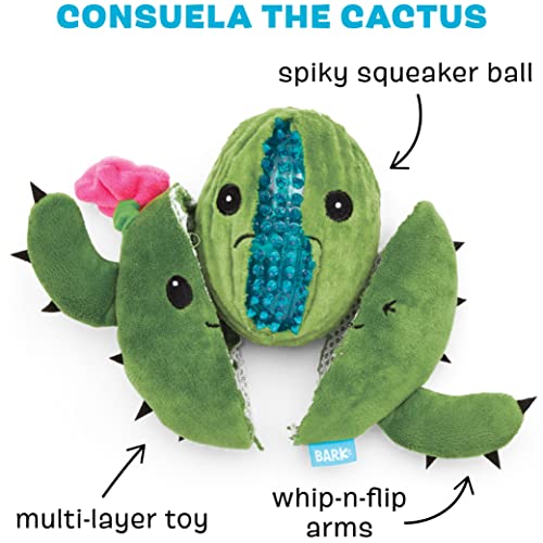 image for Barkbox 2 in 1 Interactive Plush Dog Toy - Rip and Reveal Dog Toy for 