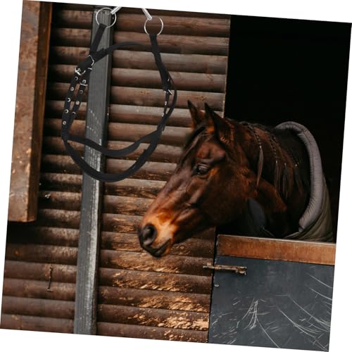 Cuerda de adiestramiento resistente Kisangel con cabezada ajustable de nailon 7