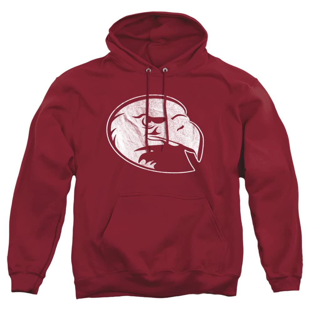 LOGOVISION Official Collegiate Distressed Primary Logo Adult Pullover Hoodie Collection — view 360