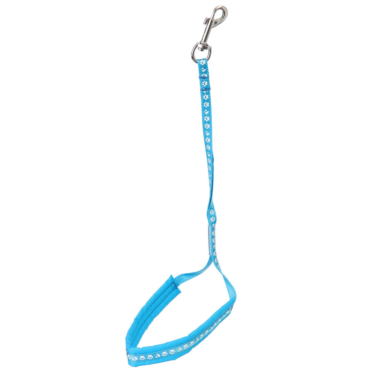 Groom Professional Allon Basic Noose With Padding Paw Print, 45 cm, Cyan Blue