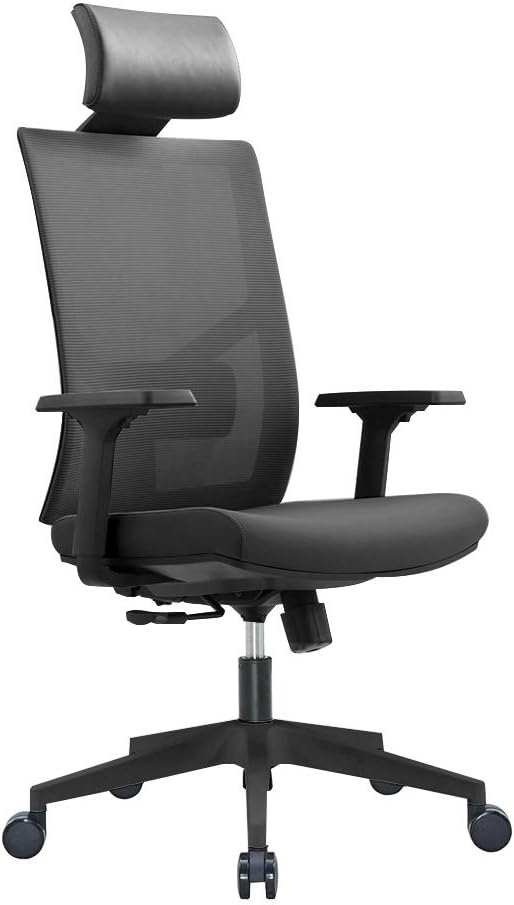 Ergonomic Multi Function Mesh Office Chair with Lumbar Support, Adjustable Armrest (Headrest, Black)