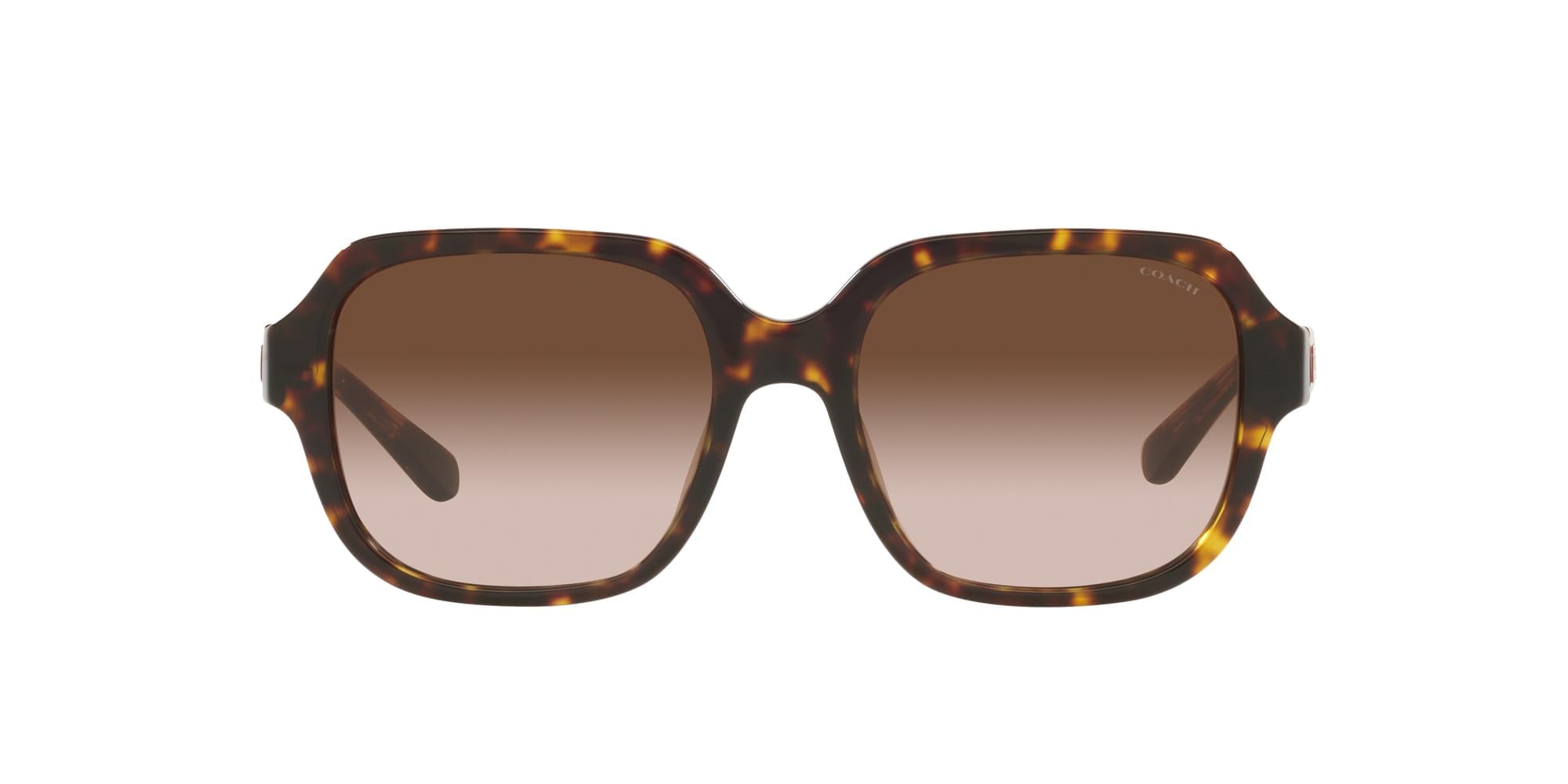 Gafas de Sol Coach C7989 CH 8335U Brown/Brown Sahded 53/18/140 mujer