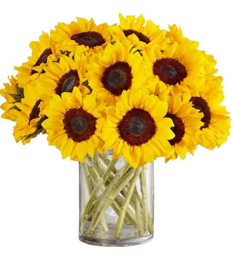 Ramo de Girasoles Naturales Flores Frescas con 10 Tallos en Diseño Moderno y Elegante
