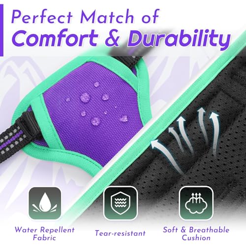 Image of Eagloo Dog Harness for Small Dogs, No Pull Pet Vest with 2 Leash Clips