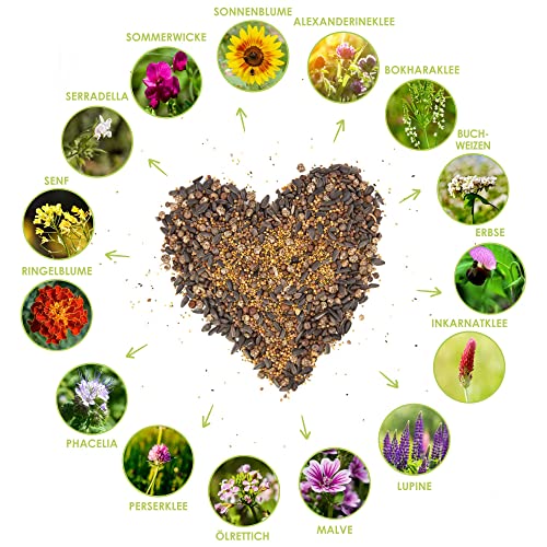Blumenwiese Samen für eine bunte Bienenweide - Farbenfrohe & nektarreiche Wildblumensamen Mischung für Bienen & Schmetterlinge (inkl. GRATIS eBook) – Bild 4