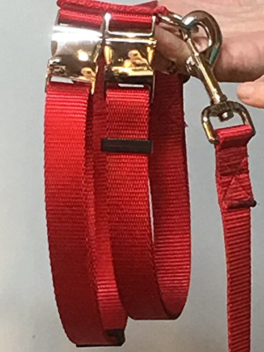 Carter Pet Supply Pig Hog Harness Lighter Curved Buckle Heavy Duty With Leash (Xx-Large, Turquois) #TOP2