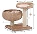 PetPals Paper Rope Natural Bowl Shaped with Perch Cat Tree