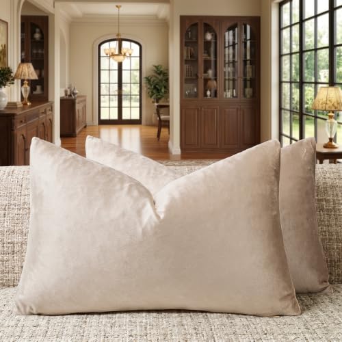 Image of GIGIZAZA Decorative Small Lumbar Pillow Covers,Cushion Covers Velvet Cream Pillows,Sofa Throw 12 X 20 Pillow Covers
