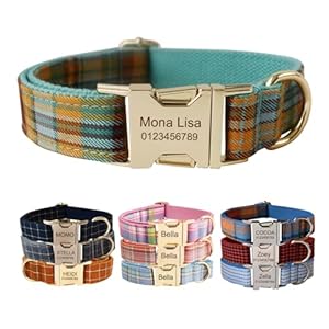 Collar de perro personalizado con hebilla de metal, collares personalizados para mascotas con nombre, número de teléfono y dirección grabados, cuadros