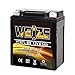 Weize YTX7L BS 120CCA ATV Battery High Performance - Maintenance Free - Sealed AGM YTX7L-BS Motorcycle Battery compatible with Honda Kawasaki Suzuki