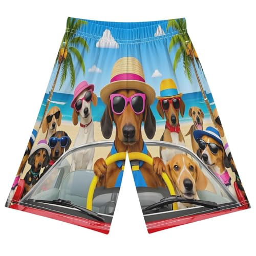 ALAZA Funny Dachshund Driving A Car Boys Athletic Shorts Kids with Pockets Shorts for boy Girl Size 6-8 Years Multicolor