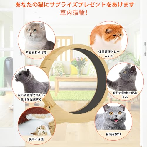 不明 キャットホイール 猫の車輪 猫 ルームランナー 回し車 猫用回し車 ランニングマシーン 大型 おもちゃ 木製キャットホイール 直径100センチメートル 猫 ネコ用 ルームランナー 木製 キャットウォーク 回転 猫ホイール 室内運動用 ランニングホイール 室内 低騒音とロック装置 最小限の隙間設計 の商品画像 5
