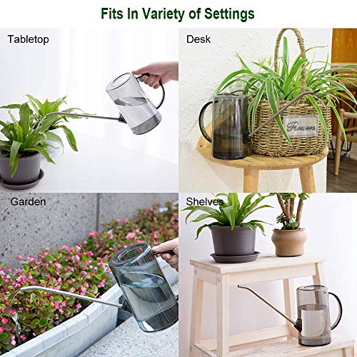 Watering Can Indoor, Small Watering Cans For House Plants, Succulents And Flowers, Long Spout, 1 Liter, With Bonus Plant Mister Spray Bottle #TOP7
