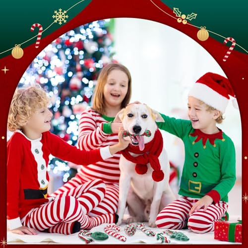 4 StüCk Weihnachten Hundespielzeug,Spielzeug Hund Weihnachten,Hund Weihnachten Spielzeug,Spielzeug Hund Weihnachten,Kauspielzeug Hund Zuckerstange,Dog Toys Candy Canes Geeignet für Kleine Mittlere
