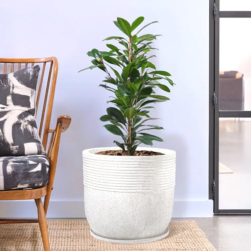 Image of Kuber Industries 2 Pcs Roto Mould German Polymer 20-Inch Extra Large Big Size Flower Pot | Indoor /Outdoor Tree Gamla Planter for Resorts, Hotels, Terrace & Garden | Marble Sunshine - White