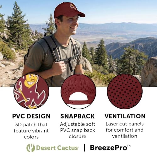 Desert Cactus Arizona State Snapback Hat miniatura 3