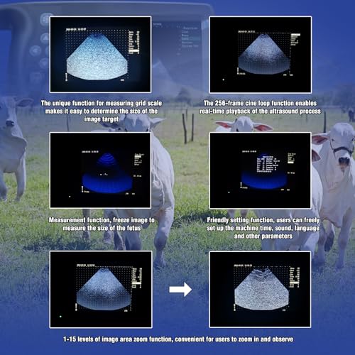 Generic RS-M6 Portable Veterinary Ultrasound Scanner 5.7 Inch Led Display thumb #3