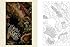 The Ocean World Coloring Book: Reveal the Beauty of the Seas (Sirius Classic Nature Coloring)