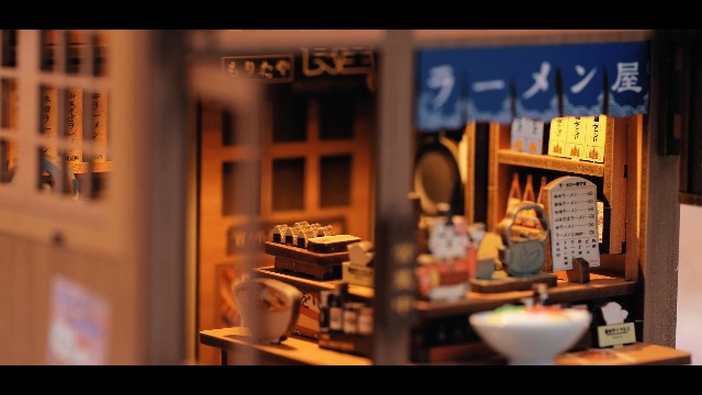 Amazon.com: Cutefun Japanese Book Nook Kit - DIY Miniature House