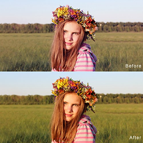 ChromLives Carta Grigia Carta del Bilanciamento