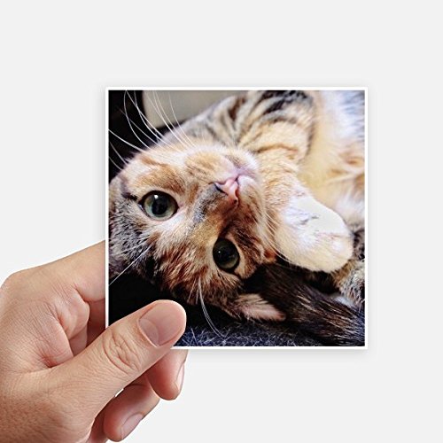 Autocollant étanche pour moto Stripes Kitty Cat | Adhésif décoratif multicolore - 2